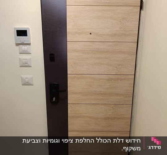 דלת עץ עם ציפוי כהה וידית שחורה